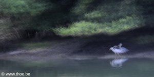 2012-07-21-9142-150c.jpg (photo)