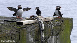 2018-05-27-0739-150c.jpg (photo)